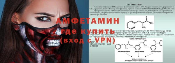 метадон Богданович