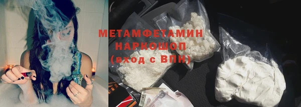сатива Бородино