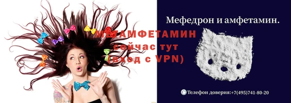 метадон Богданович