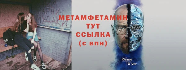 метадон Богданович