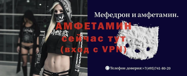 ПСИЛОЦИБИНОВЫЕ ГРИБЫ Белокуриха