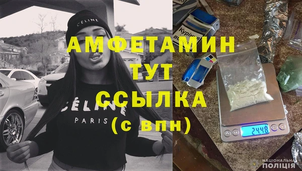 метадон Богданович