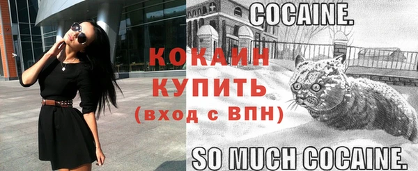 гидра Богородск