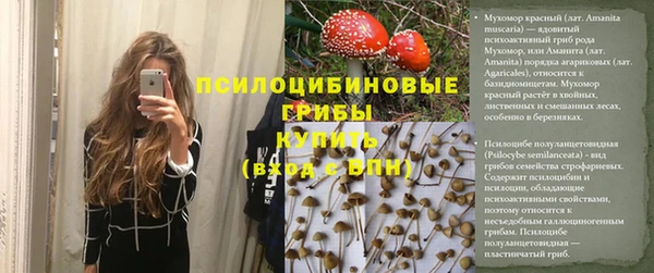 а пвп мука Бугульма