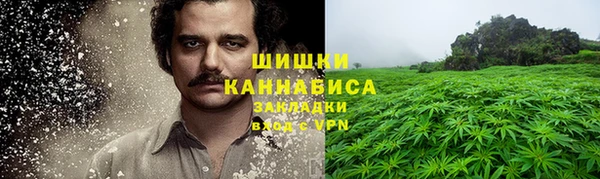 метадон Богданович