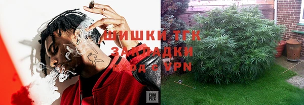 метадон Богданович