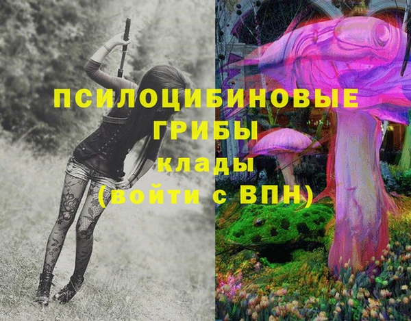 сатива Бородино