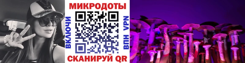 мега маркетплейс  Калтан  Галлюциногенные грибы прущие грибы  продажа наркотиков 